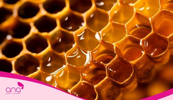 Mật ong giúp nuôi dưỡng chân tóc và giữ cho da đầu luôn khỏe mạnh