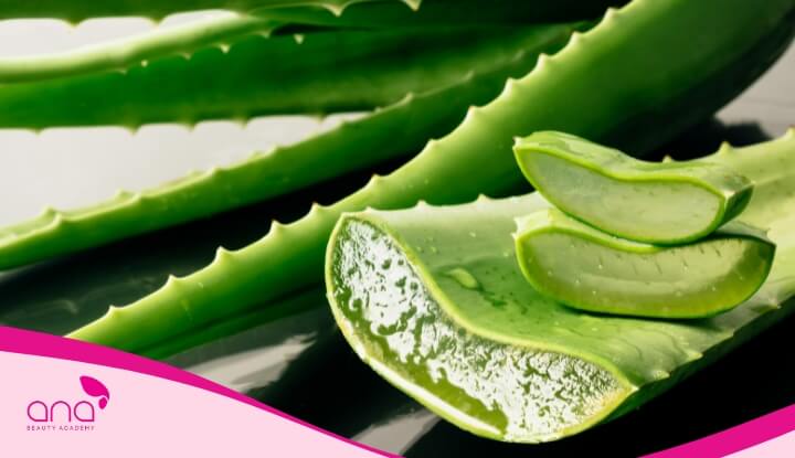 Nha đam làm dịu da đầu và kích thích tóc mọc nhanh hơn