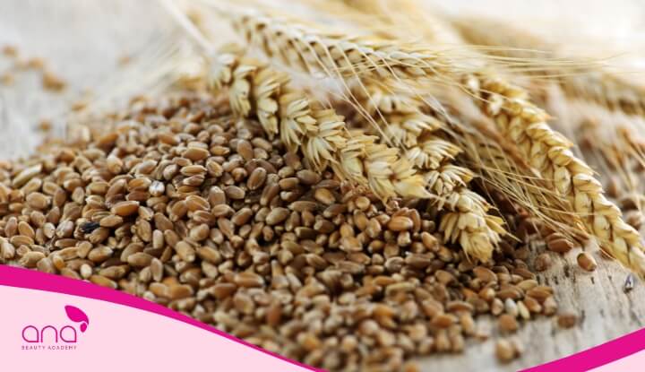 Ngũ cốc nguyên hạt giàu kẽm và sắt, hạn chế tình trạng tóc rụng nhiều