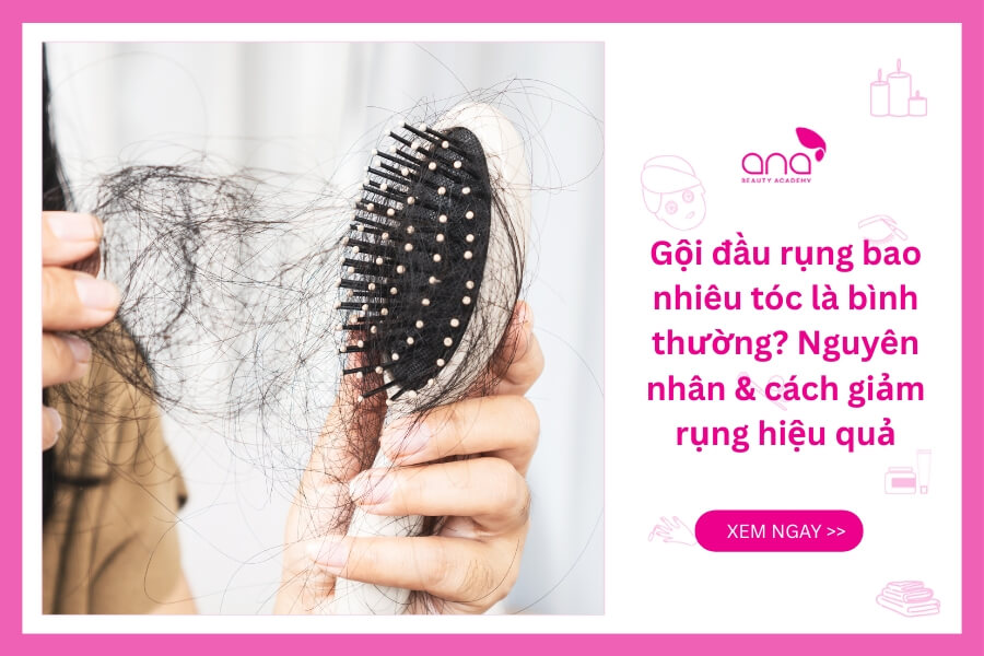 Gội đầu rụng bao nhiêu tóc là bình thường?