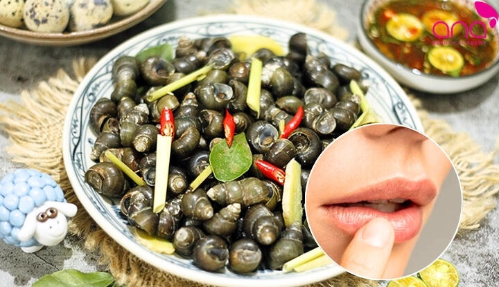 Ốc làm môi ngứa và khó lành 