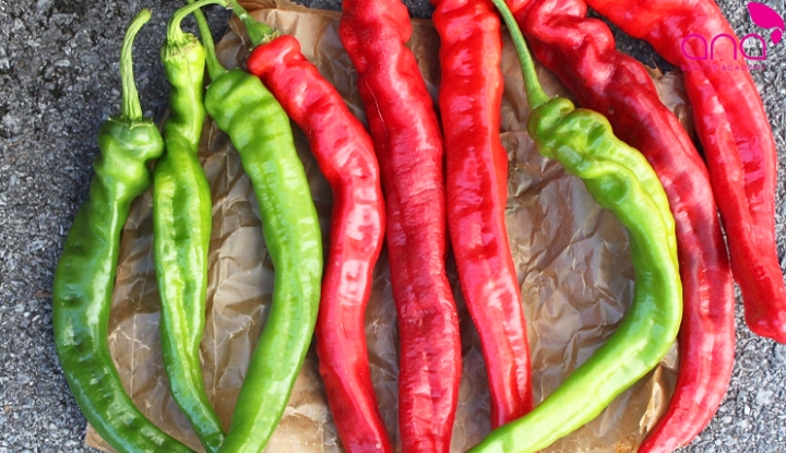 Ớt Cayenne