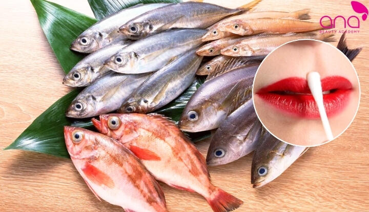 Cá biển khiến môi lâu hồi phục 