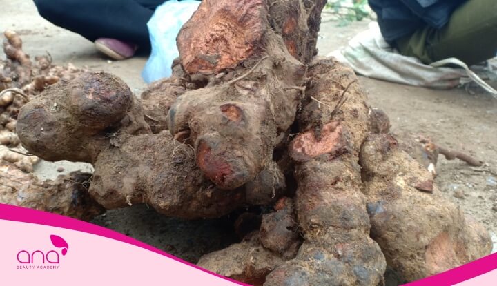 Bạn có thể kết hợp hà thủ ô với nhiều nguyên liệu khác nhau để tăng thêm hiệu quả dưỡng tóc 