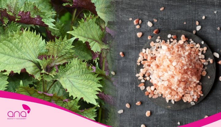 Dùng hỗn hợp nước lá tía tô và muối Himalaya để gội đầu giúp làm dịu da đầu và giảm ngứa hiệu quả