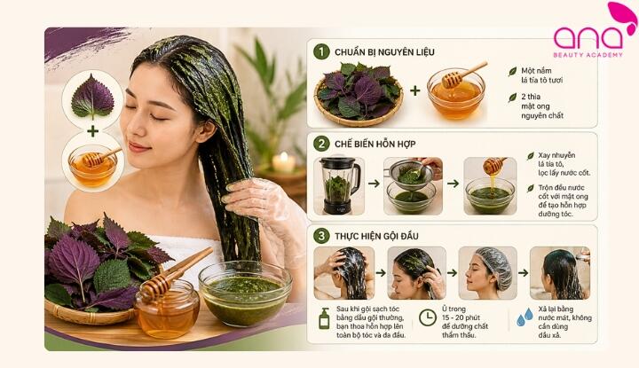 Ủ tóc bằng lá tía tô và mật ong