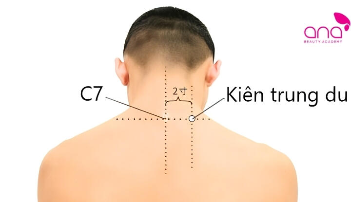 Huyệt kiên trung du