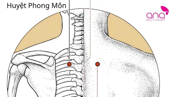huyệt phong môn