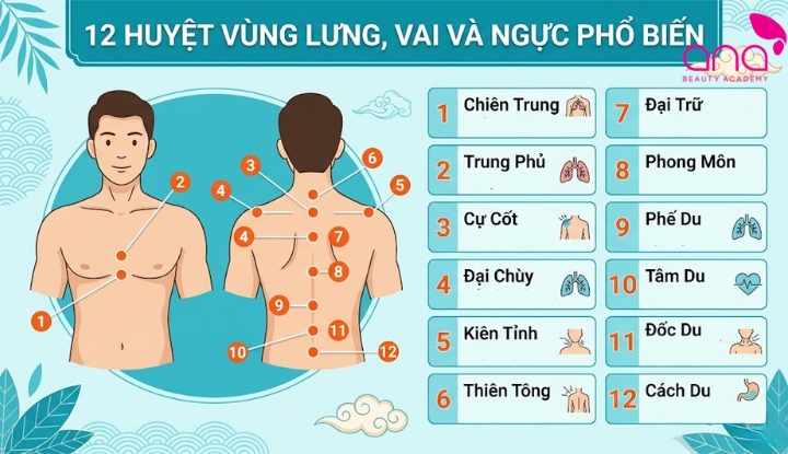 12 huyệt vùng lưng, vai và ngực phổ biến