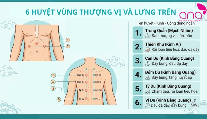 6 huyệt vùng thượng vị và lưng trên