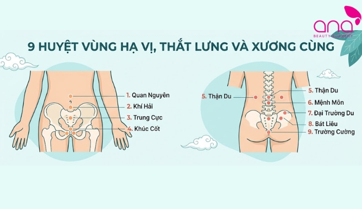 9 huyệt vùng hạ vị, thắt lưng và xương cùng