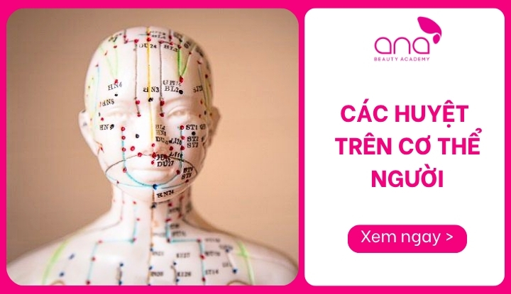 các huyệt trên cơ thể người