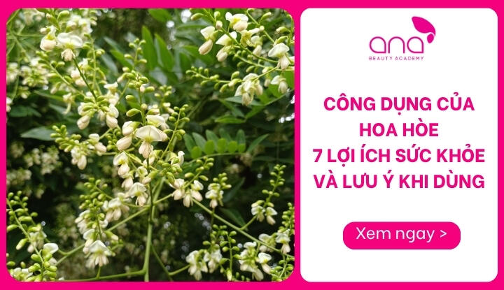 công dụng của hoa hoè