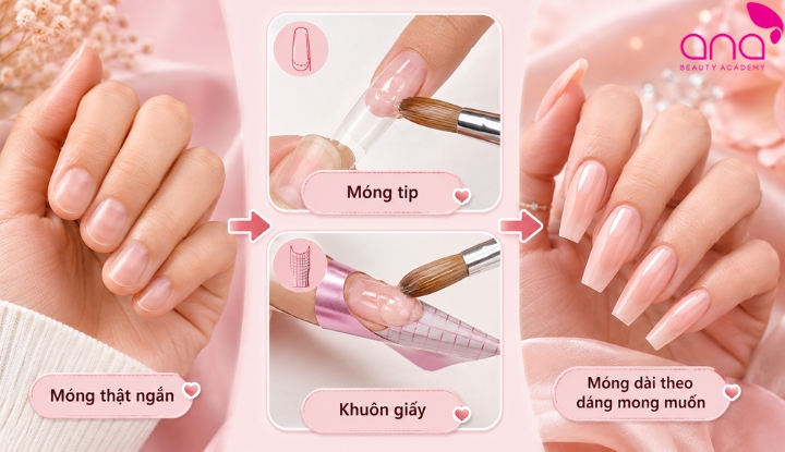 Kỹ thuật đắp bột nối dài móng bằng tip hoặc khuôn giấy.