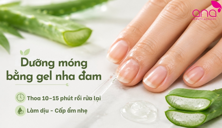 dưỡng móng bằng nha đam