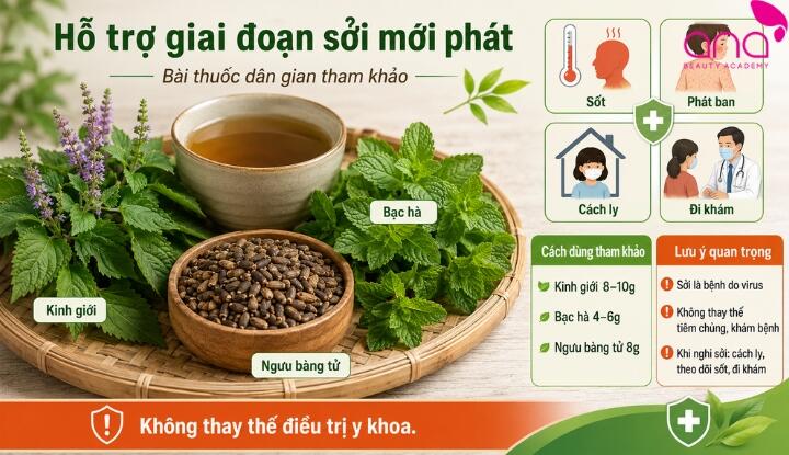 Kinh giới hỗ trợ sởi