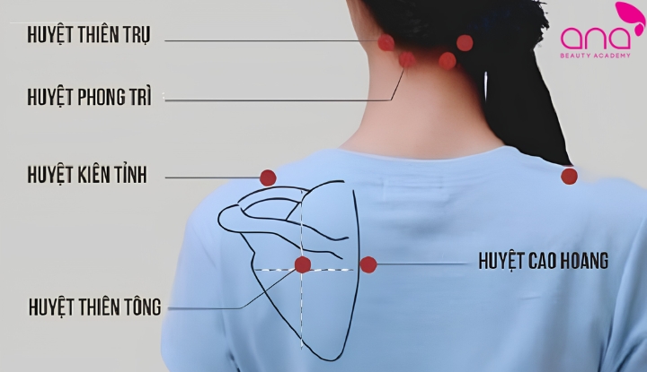 Huyệt đạo ở cổ gáy và vai