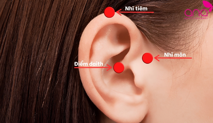 Huyệt đạo ở tai giảm đau đầu