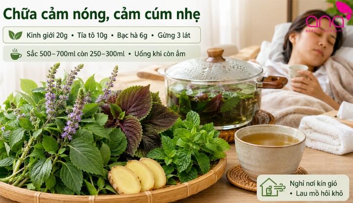 Kinh giới chữa cảm cúm