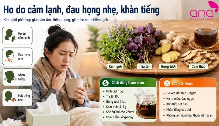 Kinh giới chữa ho