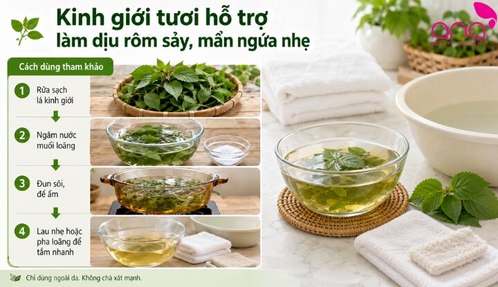 Kinh giới trị rôm sảy