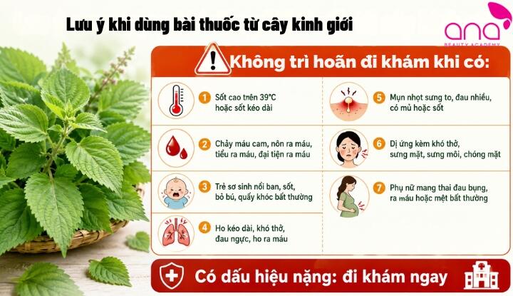 Lưu ý dùng kinh giới