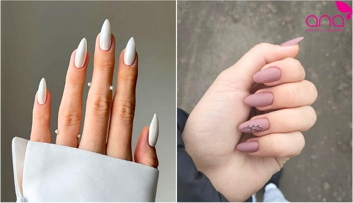 Móng nhọn sơn lì thời thượng