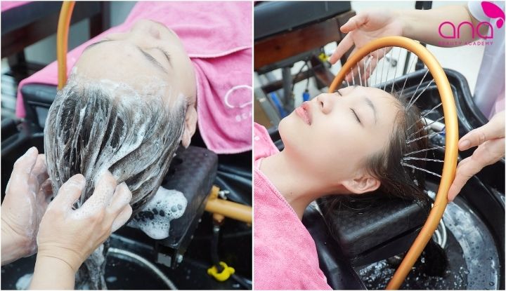 Cập nhật tiềm năng thị trường và cơ hội phát triển kinh doanh