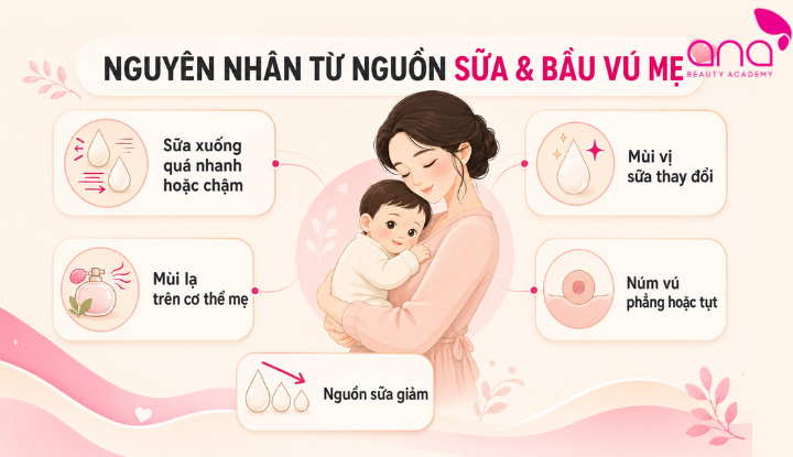 Nguyên nhân từ nguồn sữa khiến bé không chịu bú mẹ