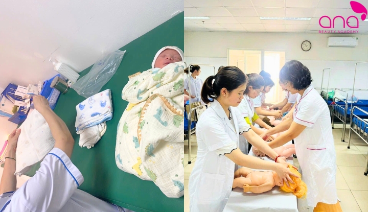 Viện đào tạo Y Dược Hà Nội