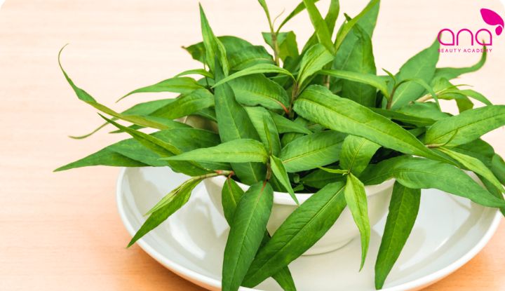 thực phẩm gây mất sữa