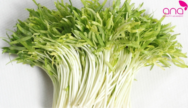 Rau mầm sống